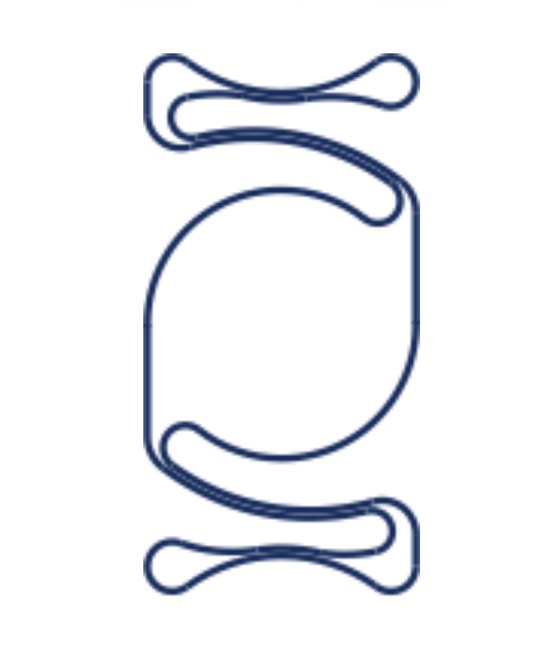 Lente Intraocular Rígido PMMA Monofocal– Cámara Anterior