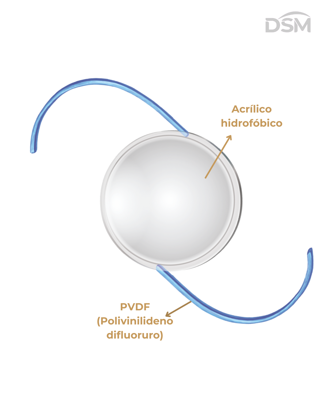 LIO Crystal NIX – Hidrofóbico 3 Piezas con Hápticas de PVDF